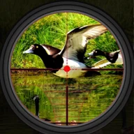 Duck Hunting icon