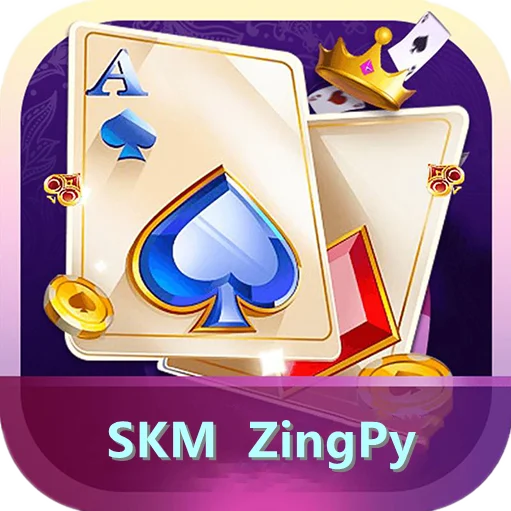 SKM ZingPy icon