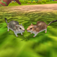 Rat Simulator icon