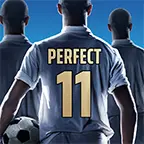 Perfect Soccer_playmods.io