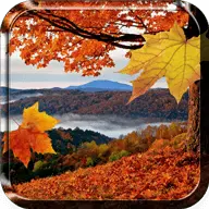 FallingLeaves icon