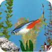 aniPet Freshwater Aquarium Live Wallpaper icon
