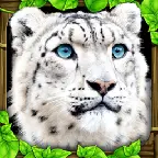 Leopard Sim