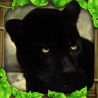 Panther Sim icon
