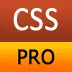 CSS Pro Quick Guide icon