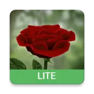 3D Rose Live Wallpaper Lite icon