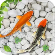 Fish Live Wallpaper 2023 icon