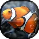 Fish Aquarium LWP icon