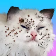 Cat Makeover icon