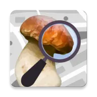 Mushroom Identificator icon