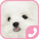 cute puppy pink EX Dialer icon