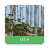 Bamboo Forest 3D Lite icon