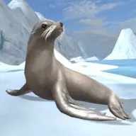 Sea Lion Simulator 3D