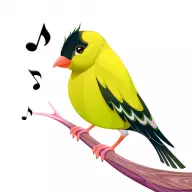 Bird Calls icon