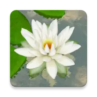 3D Lotus icon