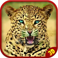 Angry Cheetah Wild Attack Sim icon