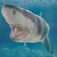Shark Ocean icon