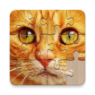 Unlimited puzzles icon