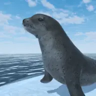 Seal Island icon
